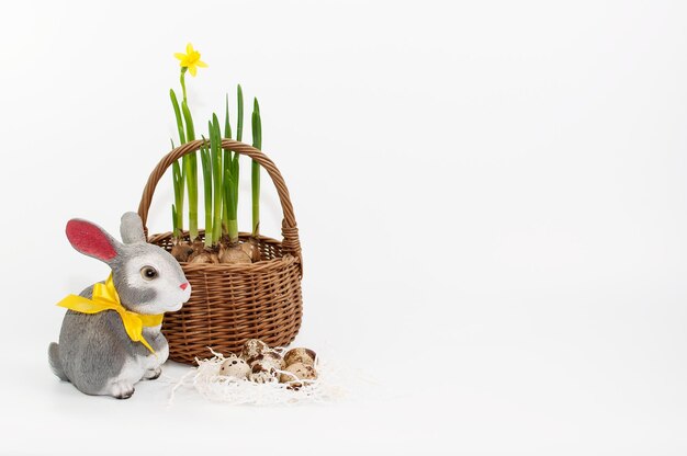 Kwarteleitjes een grijs keramiek konijn met een gele strik en een rieten mand met verse narcissen