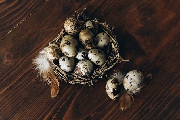 Kwarteleitjes in een nest op houten achtergrond