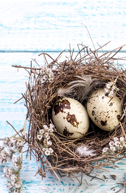 Foto kwarteleitjes in het nest van een vogel op een houten