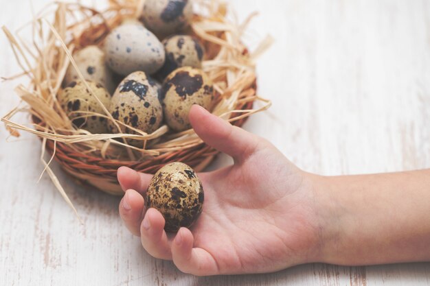 Kwartelseieren in handenjongen en op houten