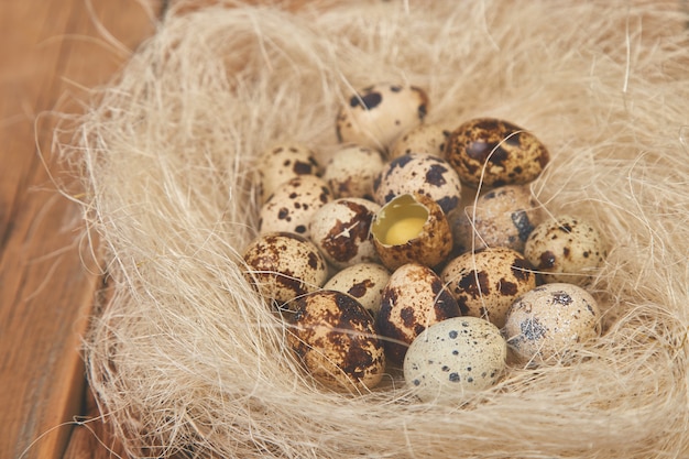 Kwartelseieren in het nest