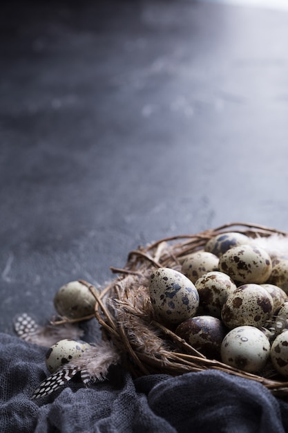 Kwartelseieren in het nest