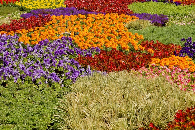 Kwekerij potplanten tuinplanten regeling