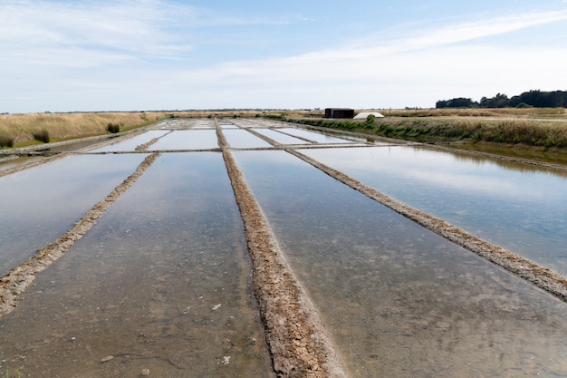 Kwelderproductie in eiland op Ile de Noirmoutier, Frankrijk