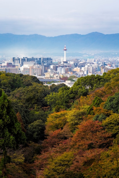 Kyoto city in autumn