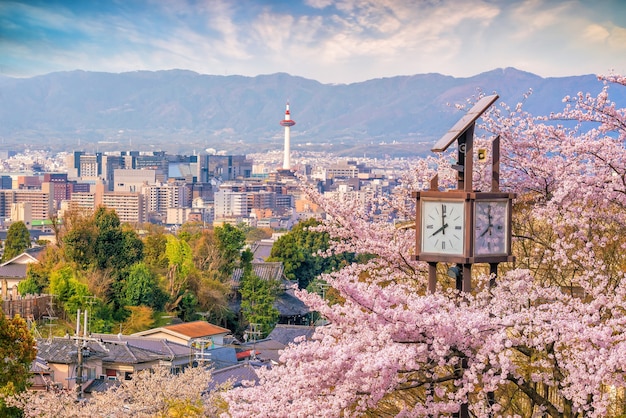 Kyoto city skyline with sakura in Japan