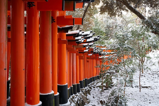 Kyoto Japan 24 januari 2023 Fushimi Inaritaisha Torii Gates met sneeuw op het dak in de winter