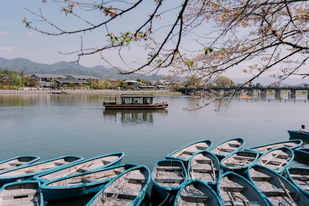 Photo kyoto japan april 3 2023 tourists enjoy sakura trees from boat at arashiyama river