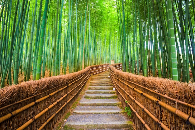 Photo kyoto japan bamboo forest