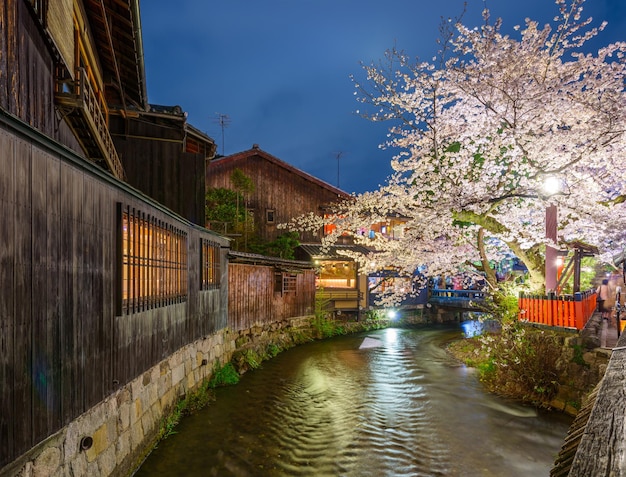 Kyoto Japan during Cherry Blossom Season