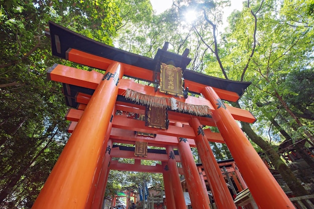 Foto kyoto, giappone - 22 maggio 2019: santuario fushimi inari, kyoto, giappone