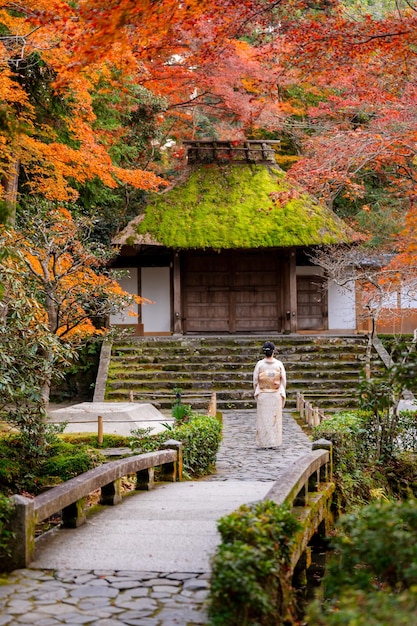 Woman wearing traditional kimono in Honenin Temple garden during fall foliage season with vibrant red maple trees, demonstrating perfect seasonal color coordination