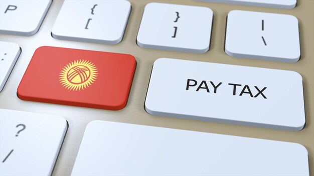 키르기스스탄 국가 세금 지불 3D 일러스트 국가 발