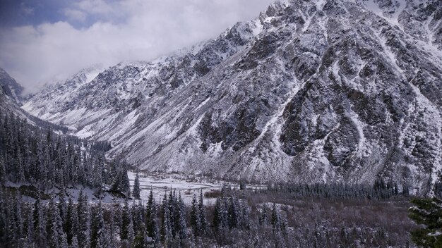 kyrgyzstan  mountins whith forest and snow