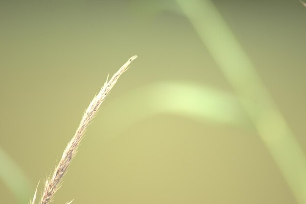 Photo la biodiversidad en colombia