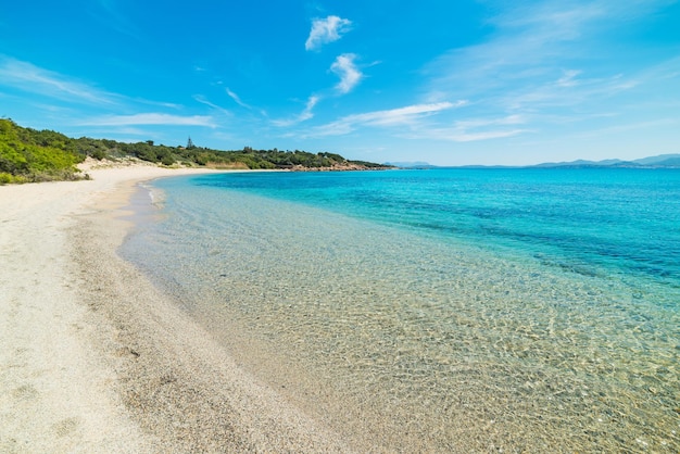 Пляж Ла Сельвия под голубым небом Сардинии