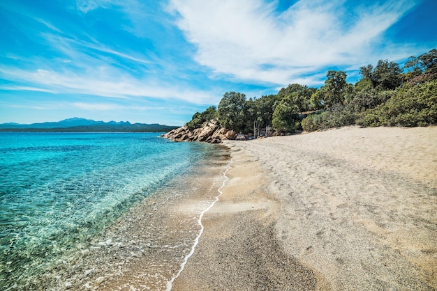 La Celvia strand op een heldere dag Sardinië