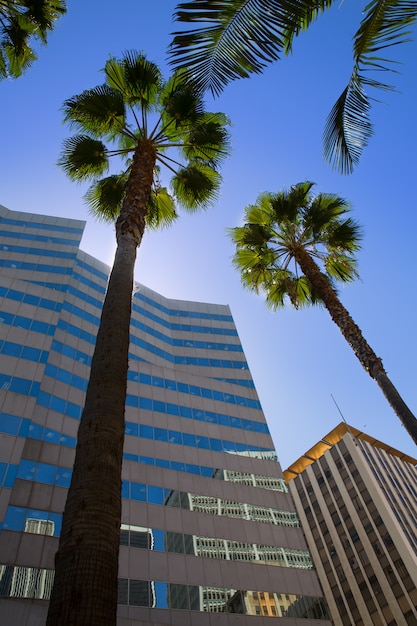 LA Downtown Los Angeles Pershing Square palm tress