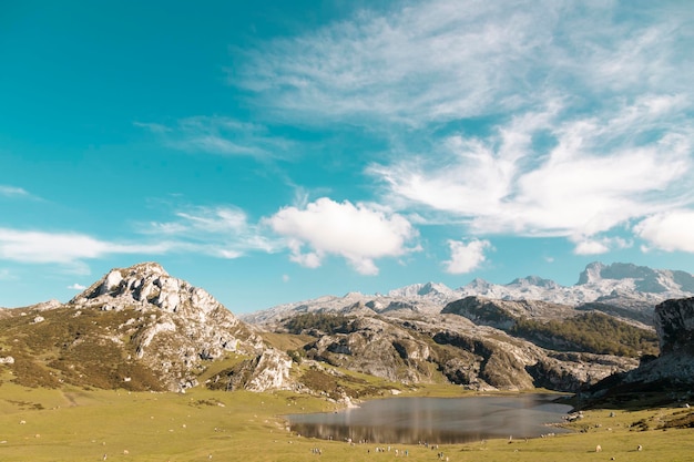 La Ercina-meer in het natuurpark van de Covadonga-bergen in Picos de Europa Asturias Spain
