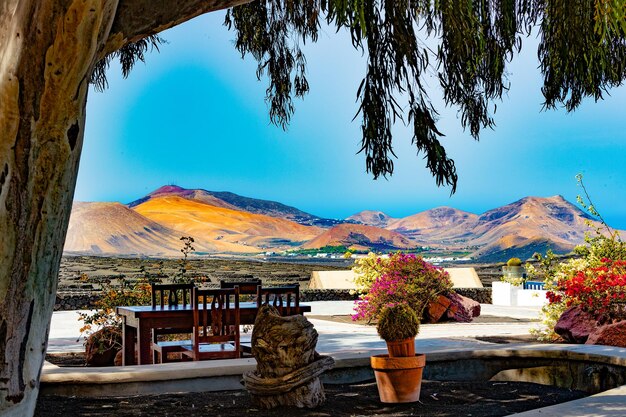 La Geria-wijngaard op vulkanische bodem. Schilderachtig landschap met vulkanische wijngaarden. Lanzarote.Canarische Eilanden