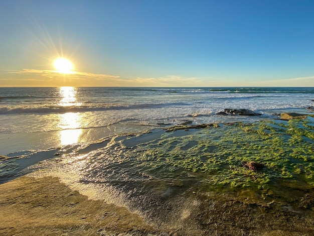 南カリフォルニア、ラ ホーヤ サンディエゴのラ ホーヤ海岸とビーチ。アメリカ合衆国