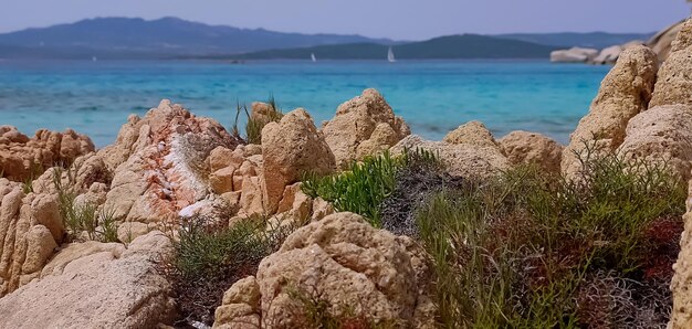 La maddalena sardinia in la maddalena