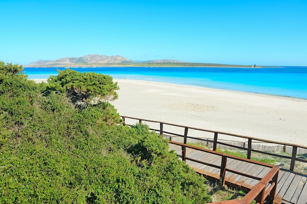 La Pelosa beach on a clear day Sardinia