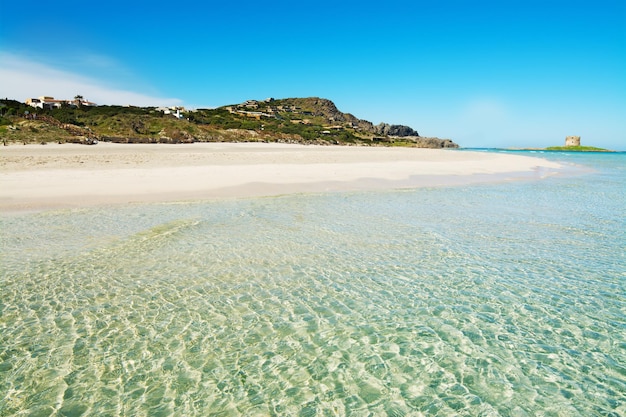 La Pelosa beach seen from the water Sardinia