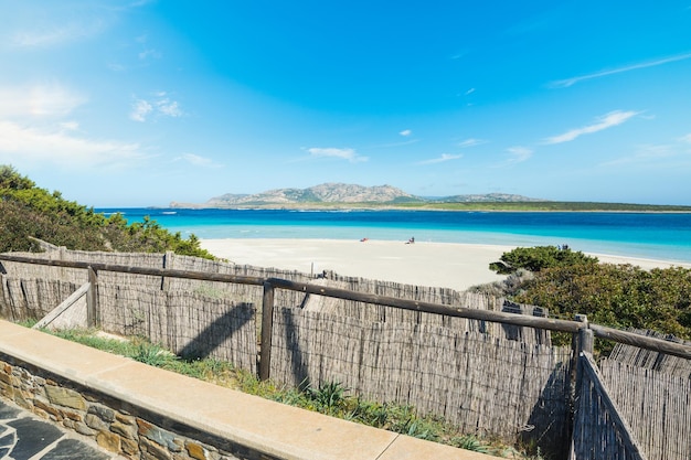 La pelosa beach on a sunny day sardinia