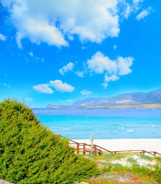 La pelosa beach under white clouds sardinia