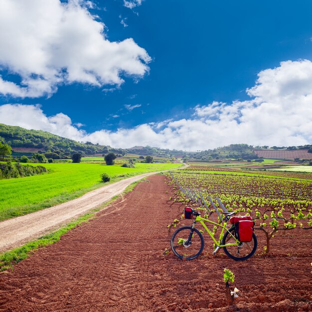 La Rioja vineyard fields in The Way of Saint James