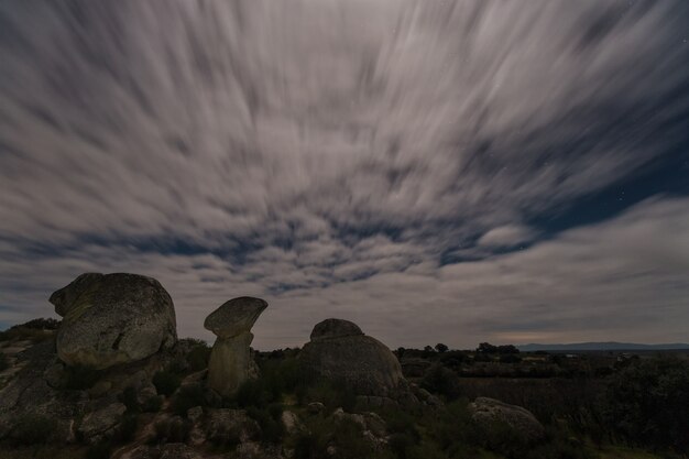 La seta con luz de Luna