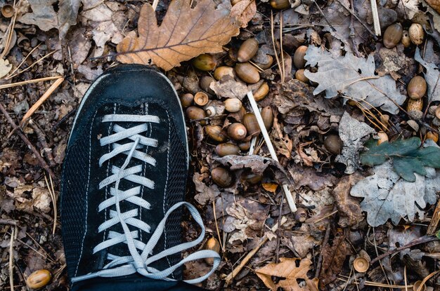 Foto laag gedeelte van de herfstbladeren op de grond