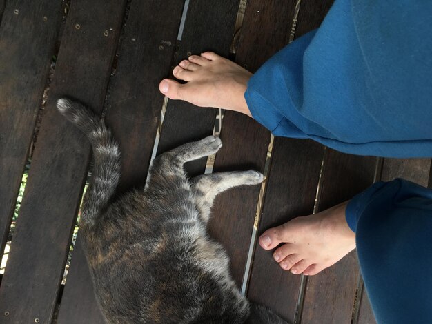 Foto laag gedeelte van de man die bij de kat op de pier staat