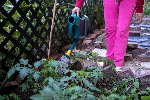 Laag gedeelte van de man die op het veld staat