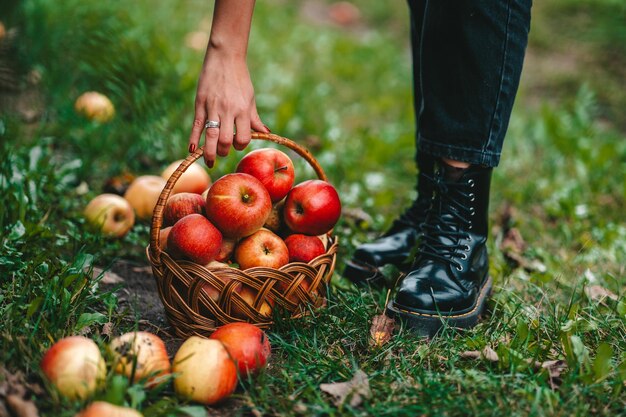 Laag gedeelte van de man met fruit in mand op het veld