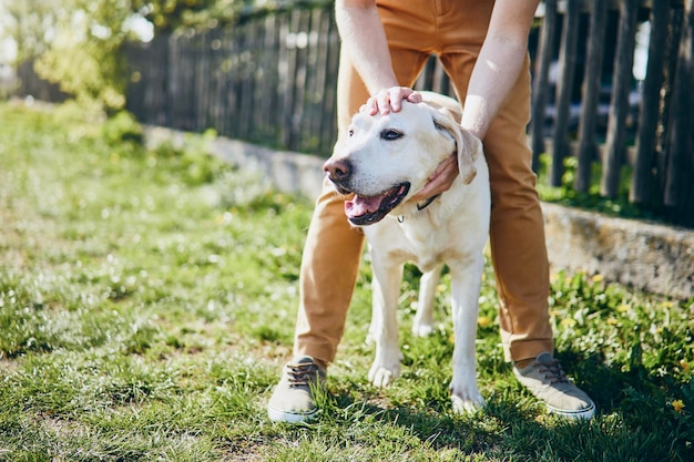 Laag gedeelte van de man met hond die op het grasveld staat