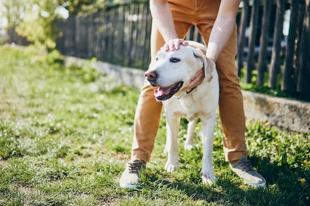 Foto laag gedeelte van de man met hond die op het grasveld staat