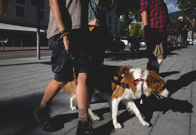 Laag gedeelte van een man die met een hond loopt