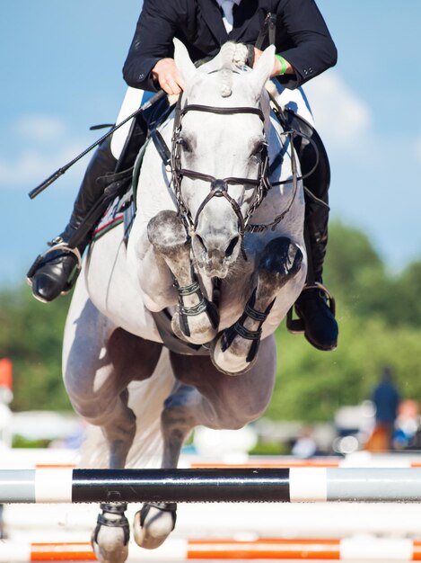 Foto laag gedeelte van een man die op een paard rijdt tegen de lucht.