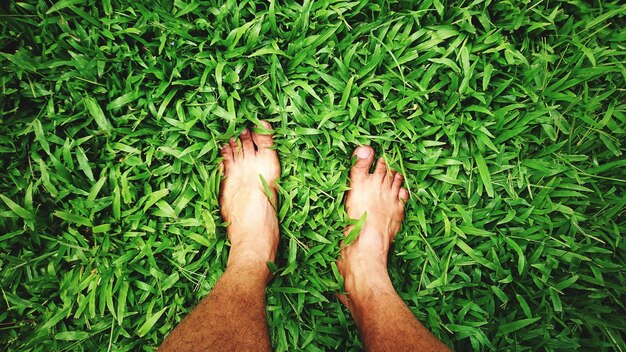 Foto laag gedeelte van een man die op het gras in het park staat