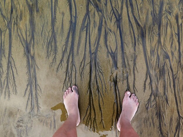 Foto laag gedeelte van een man die op het strand staat