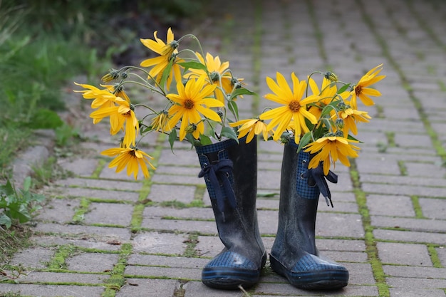 Laag gedeelte van gele bloeiende planten op het voetpad
