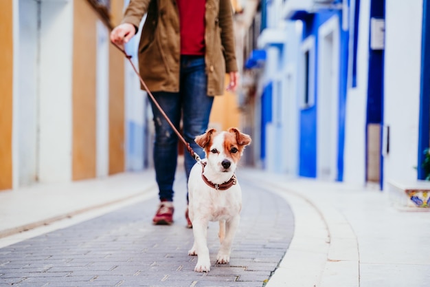 Laag gedeelte van vrouw met hond die op voetpad loopt