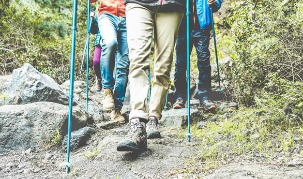 Laag gedeelte van wandelaars die in het bos staan