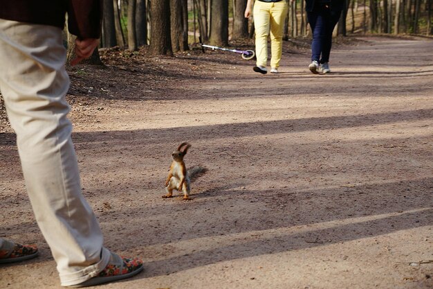 Foto laagste groep mensen die op de weg lopen