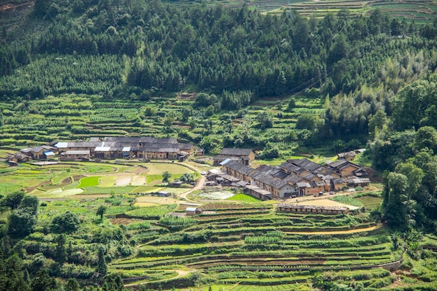 Laat het prachtige landschap dicht bij de natuur eten en genieten van het leven.