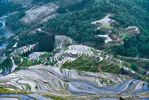 Laat het prachtige landschap dicht bij de natuur eten en genieten van het leven.