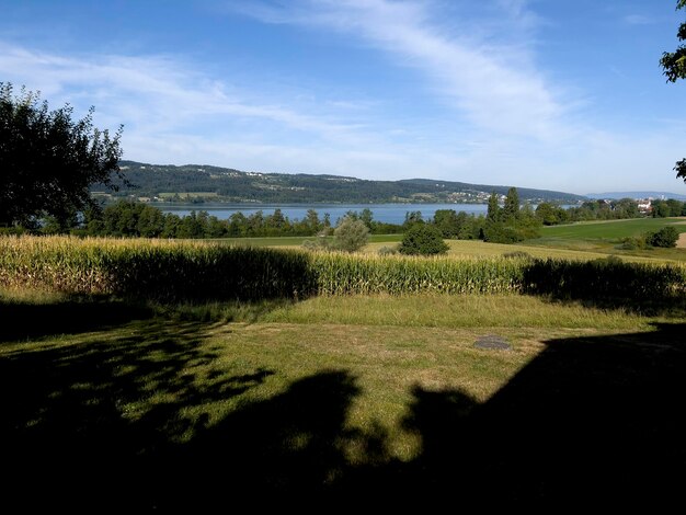 Laat in de middag bij Grafensee