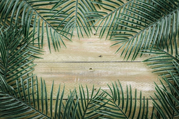 laat tropische boom op houten vloer